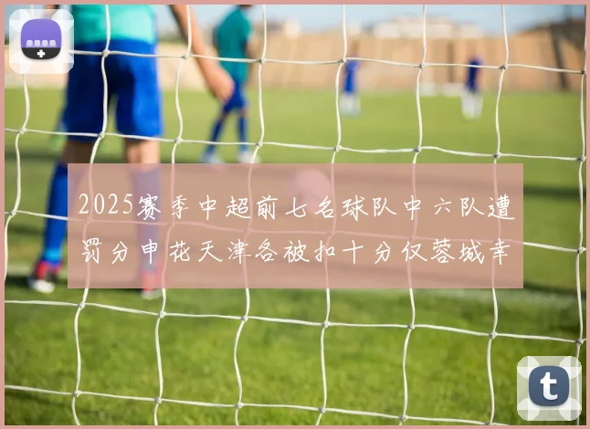 2025赛季中超前七名球队中六队遭罚分申花天津各被扣十分仅蓉城幸免