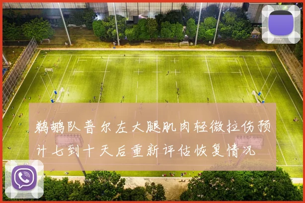 鹈鹕队普尔左大腿肌肉轻微拉伤预计七到十天后重新评估恢复情况