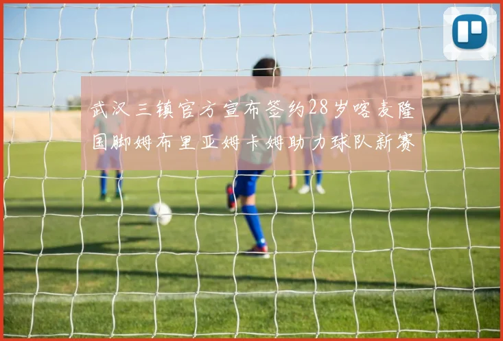 武汉三镇官方宣布签约28岁喀麦隆国脚姆布里亚姆卡姆助力球队新赛季