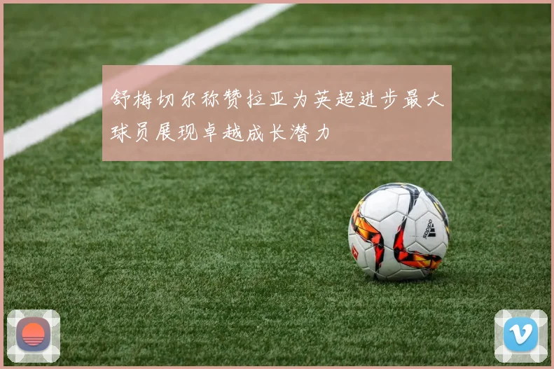 舒梅切尔称赞拉亚为英超进步最大球员展现卓越成长潜力