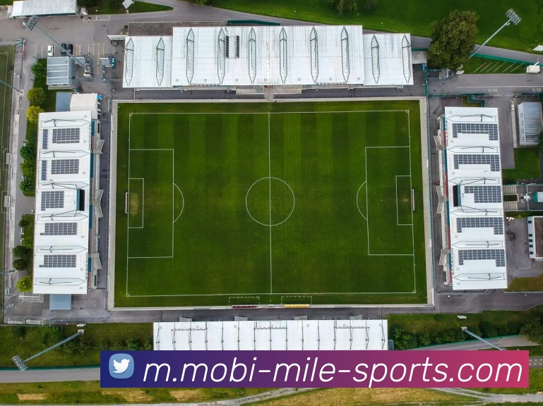 米乐体育平台生态图