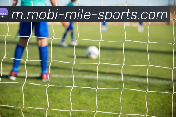 米乐体育APP 封面图